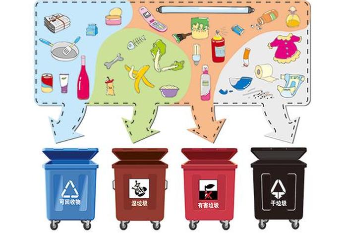 生活中的分类知识(生活中的分类与整理图片) 生活中的分类知识(生活中的分类与整理图片)