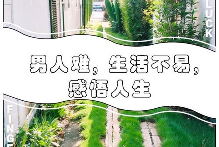 生活不易的视频、生活不易的视频感悟