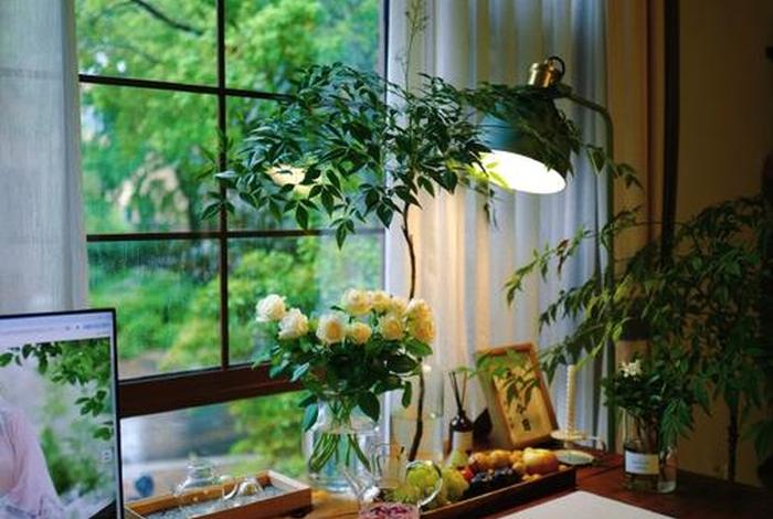 生活日常图片实拍（生活日常图片唯美）