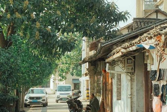 适合长期居住又低消费的小镇,适合穷人养老的小城市 适合长期居住又低消费的小镇,适合穷人养老的小城市