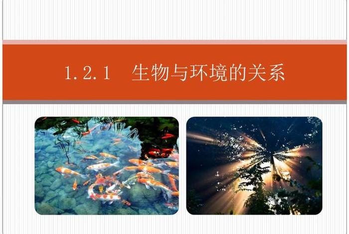 生物与生活环境的关系,生物与生物环境之间的关系 生物与生活环境的关系,生物与生物环境之间的关系