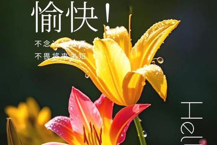 祝生活愉快图片；祝生活愉快图片带字