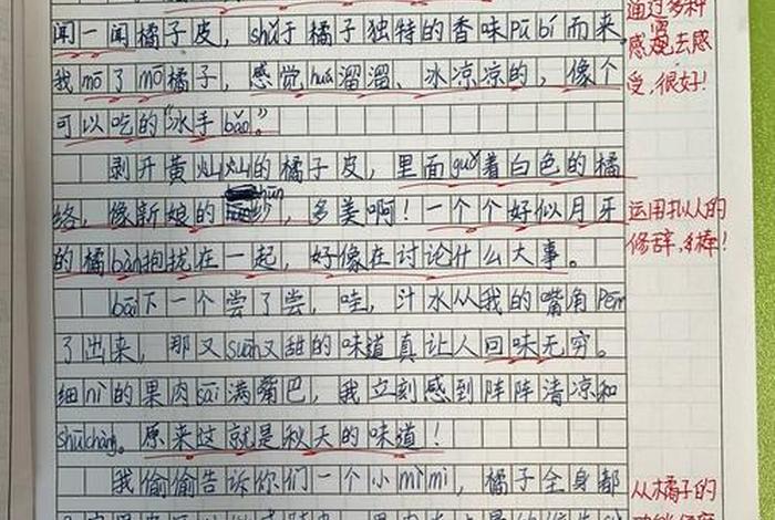 我眼中的生活作文,以我眼中的生活为题的作文350字 我眼中的生活作文,以我眼中的生活为题的作文350字