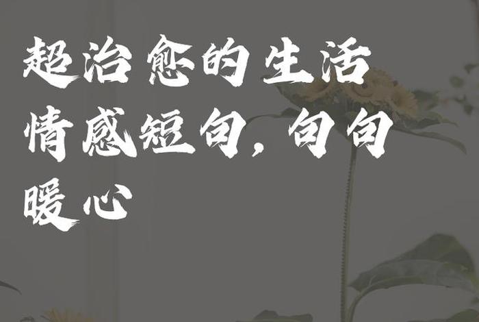 生活很暖很治愈的短句、生活很暖很治愈的短句八字