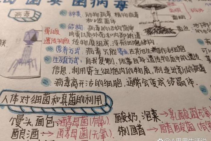 寄生生活的真菌 寄生在真菌里的病毒叫什么