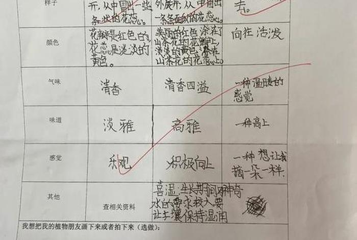 生活观察记录100篇 生活观察记录100篇三年级 生活观察记录100篇 生活观察记录100篇三年级