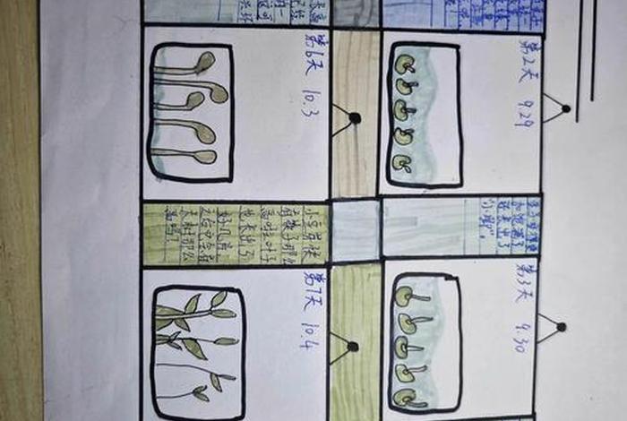 生活观察记录图片(生活观察记录图片卡通) 生活观察记录图片(生活观察记录图片卡通)