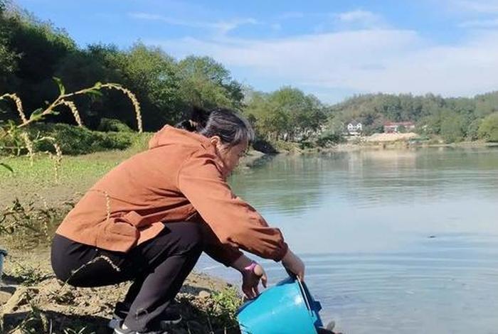 放生活动总结;放生活动美篇 放生活动总结;放生活动美篇