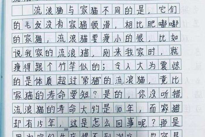 流浪猫的生活作文400字,流浪猫的生活作文400字怎么写 流浪猫的生活作文400字,流浪猫的生活作文400字怎么写