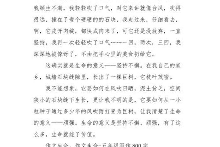 生命与生活作文(生命与生活有什么关系) 生命与生活作文(生命与生活有什么关系)