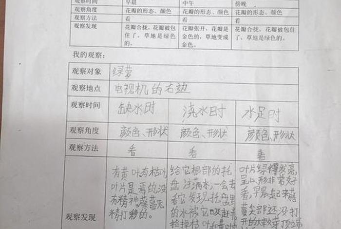 生活观察记录有哪些、生活观察记录怎么写