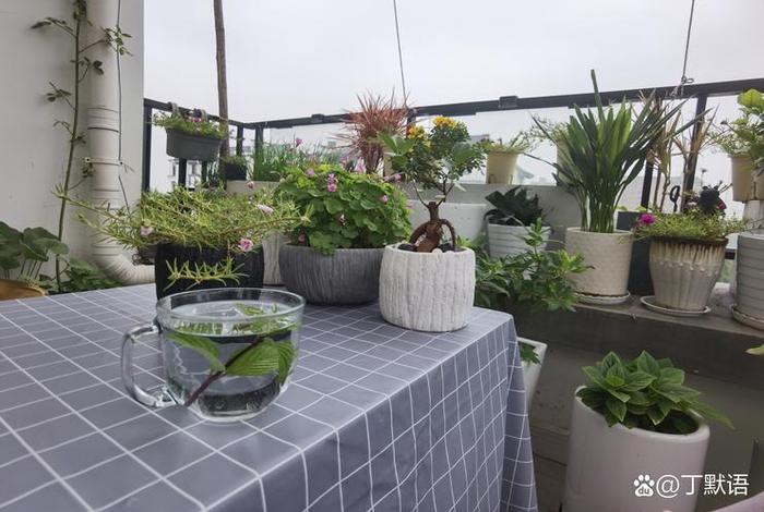 闲适的生活态度；闲适的生活态度是什么