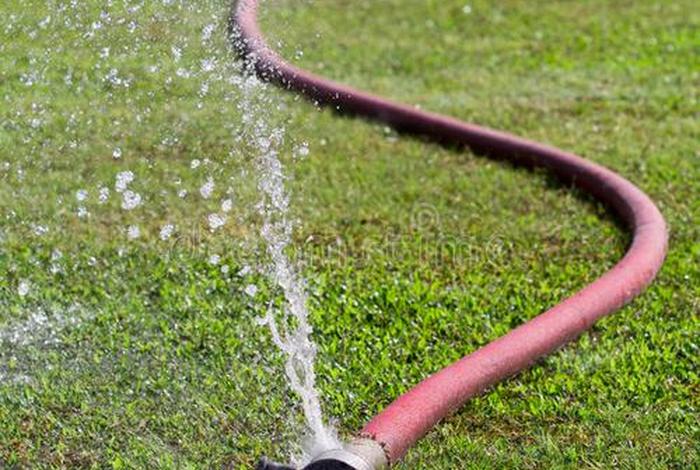 生活中的浪费水现象 生活中的浪费水现象图片