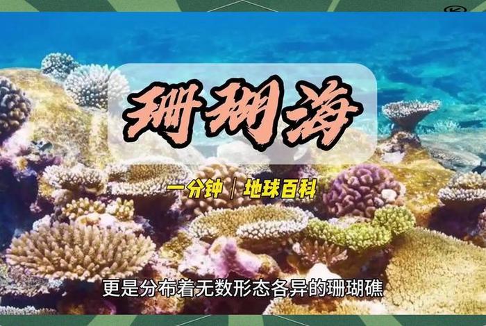 珊瑚生活在一起吗、珊瑚生活在深海吗