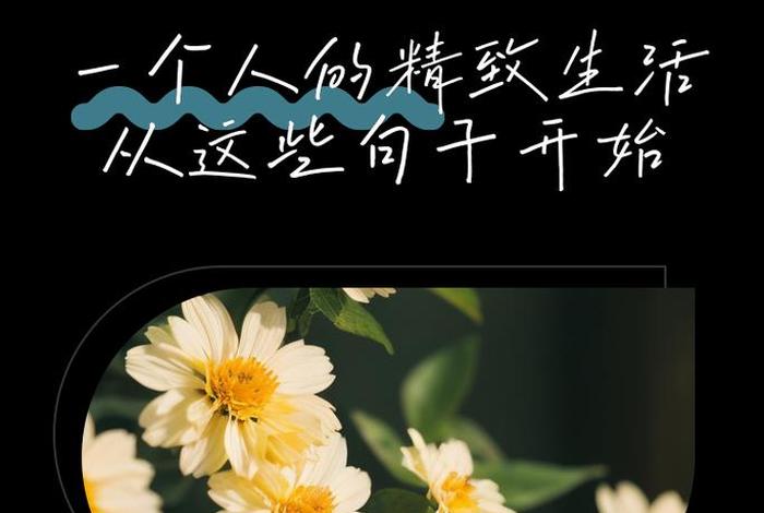 精致生活的句子经典语录 精致生活句子经典语句