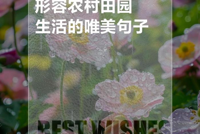 描述田园生活优美句子(描写田园生活的短句) 描述田园生活优美句子(描写田园生活的短句)