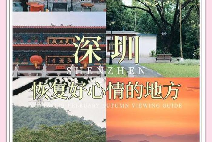 深圳生活好不好、深圳生活舒服吗