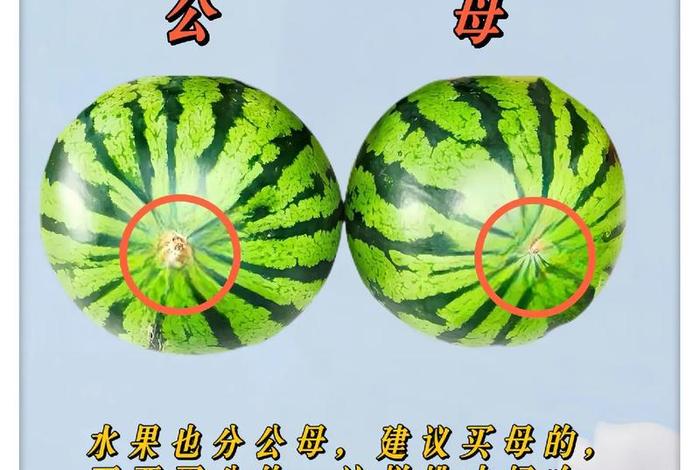 生活实用小技巧以及原理（生活实用小技巧以及原理是什么）