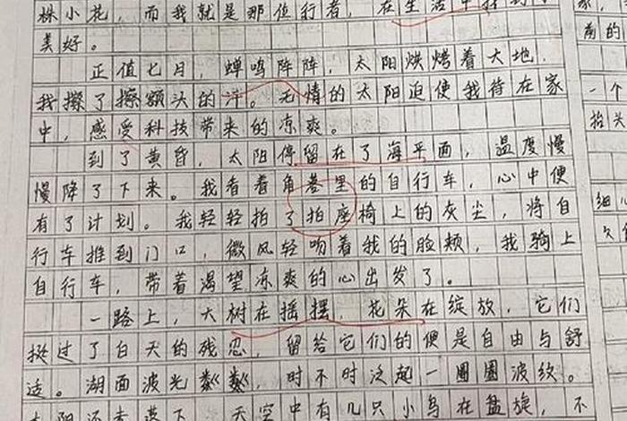 平淡生活的美好作文、平淡生活的美好作文素材 平淡生活的美好作文、平淡生活的美好作文素材