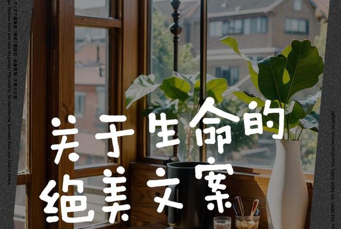 生命的意义最经典的一句话、生命的意义最经典的一句话用不同标点