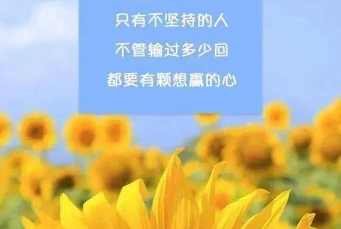 生活正能量句子发朋友圈(生活正能量的句子朋友圈) 生活正能量句子发朋友圈(生活正能量的句子朋友圈)