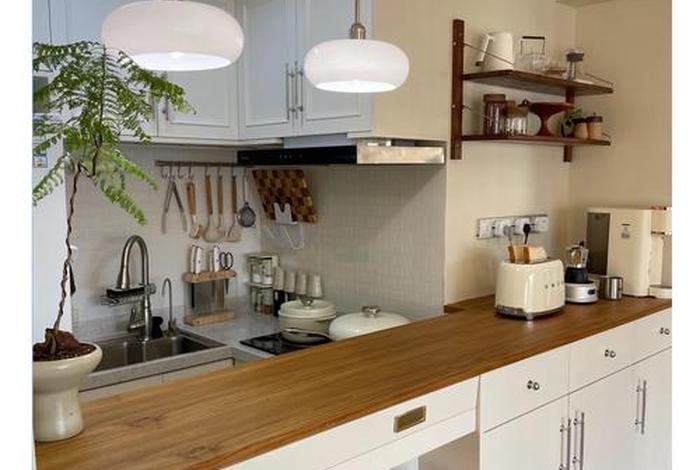 生活改造家第二季全集在线看，生活改造家第二季开播