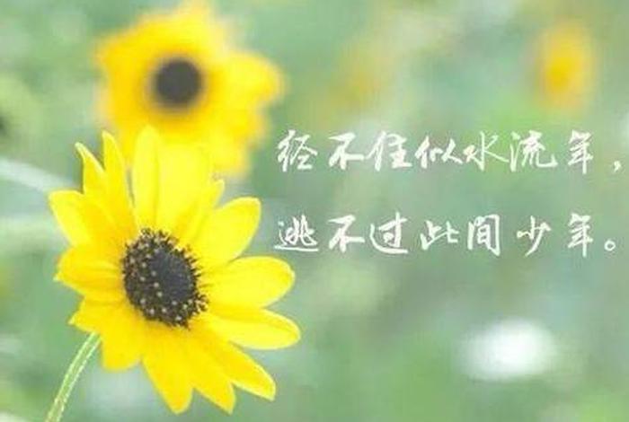 感悟图片带字大图,感悟图片 心情 感悟图片带字大图,感悟图片 心情