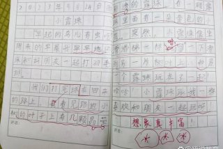 二年级生活日记20字 - 二年级小学生活日记