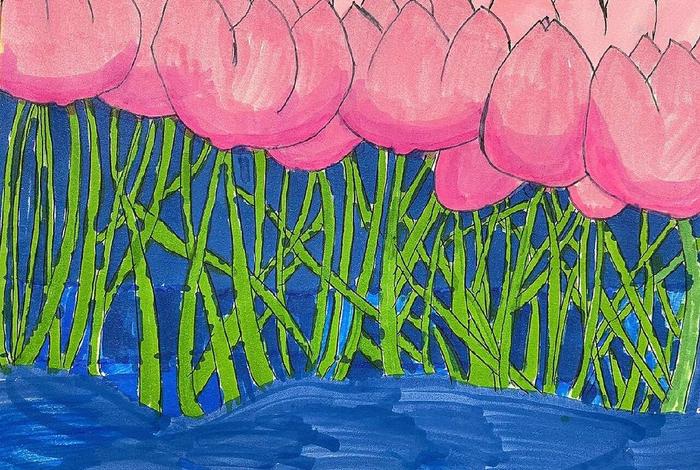 生活与色彩的美术作品（生活与色彩的画）