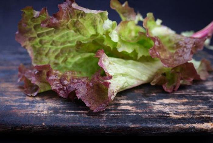 珊瑚生菜，珊瑚生菜怎么吃最好