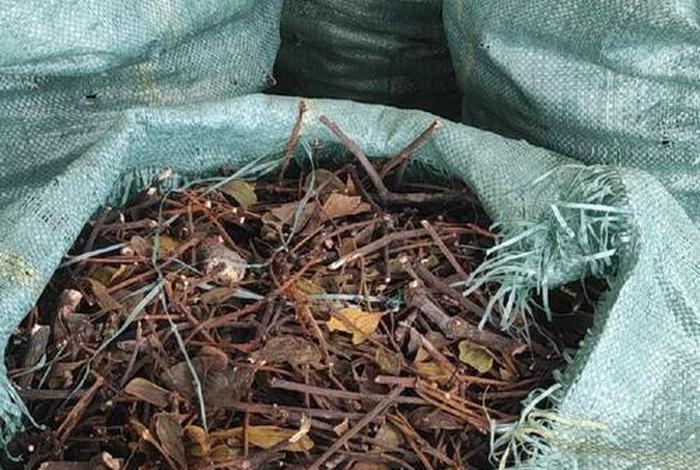 寄生生活是什么；寄生是啥