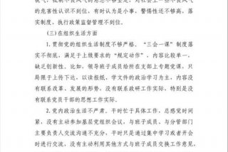 严格落实组织生活制度总结（严格落实组织生活制度总结报告）