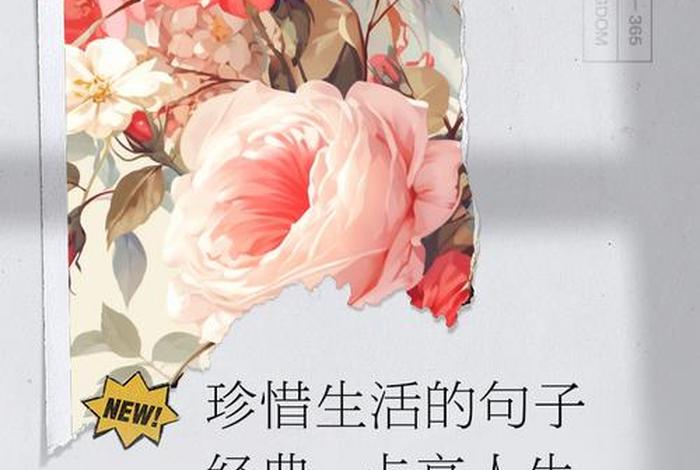 会生活的人最经典十句话;会生活的句子 会生活的人最经典十句话;会生活的句子