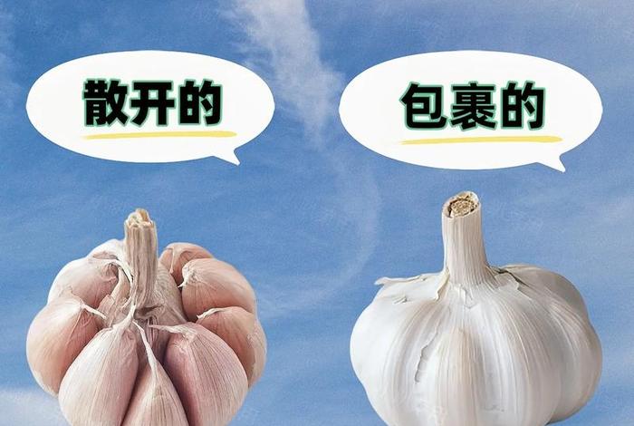 生活小妙招视频,生活小妙招视频素材免费下载 生活小妙招视频,生活小妙招视频素材免费下载