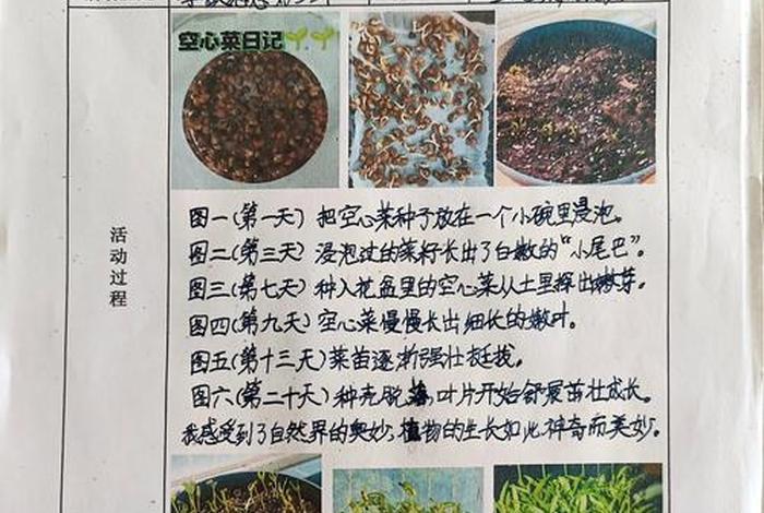 生活实践活动有哪些、生活实践名称 生活实践活动有哪些、生活实践名称