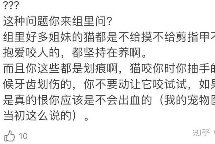 爱猫生活组观点正确吗 - 爱猫生活进组暗号
