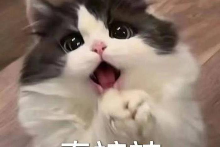 生活表情包可爱;生活表情女装官网 生活表情包可爱;生活表情女装官网