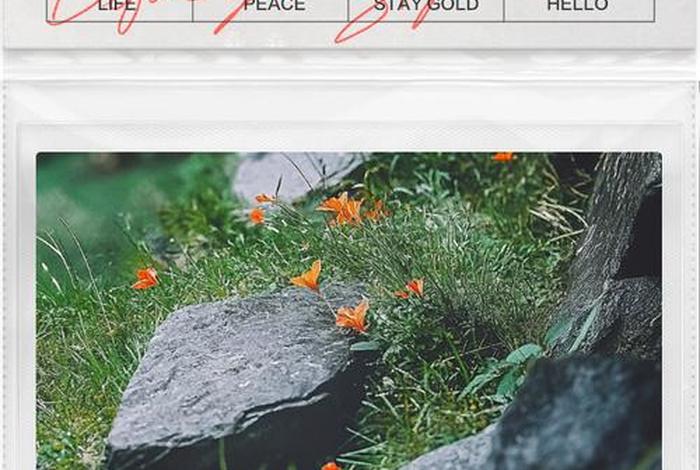 生活中的小确幸文案 生活的小确幸文案短句干净治愈 生活中的小确幸文案 生活的小确幸文案短句干净治愈