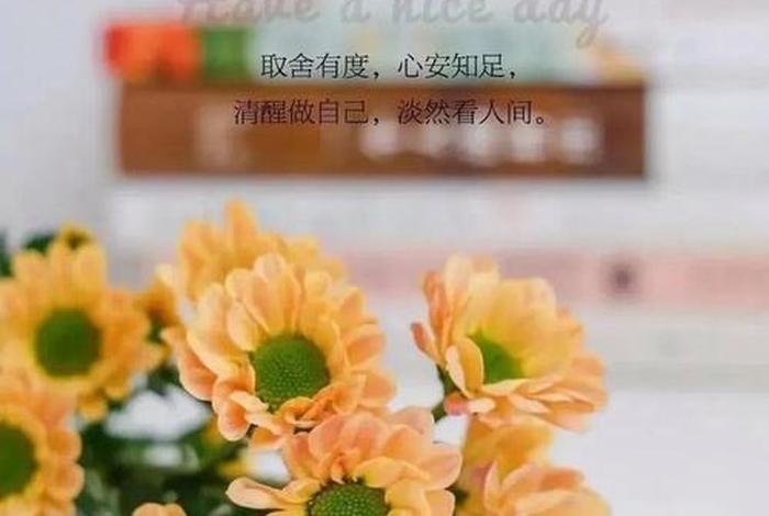祝生活愉快类似的祝福语 - 生活愉快的相关祝福语 祝生活愉快类似的祝福语 - 生活愉快的相关祝福语