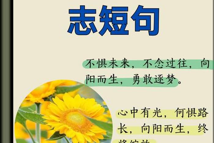 阳光积极面对生活的励志句子；阳光面对生活的说说