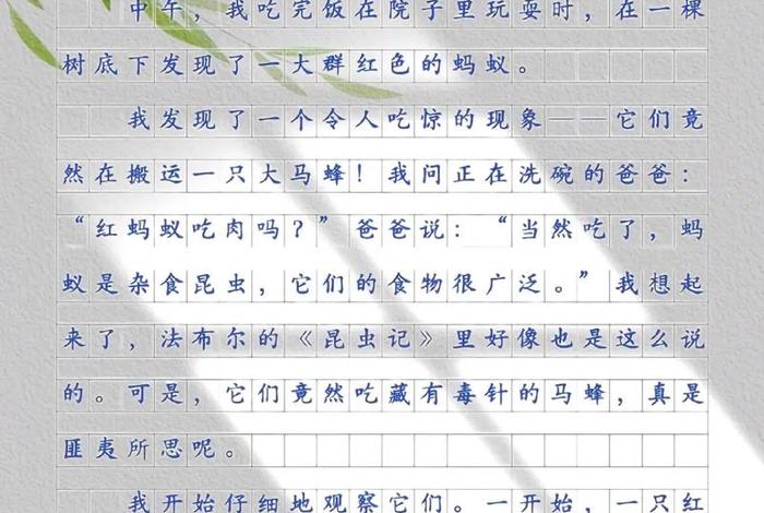 观察生活日记600字(观察生活作文600字左右) 观察生活日记600字(观察生活作文600字左右)