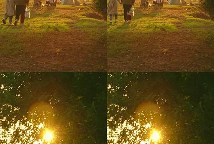 生活视频真实版、实拍生活视频素材 生活视频真实版、实拍生活视频素材