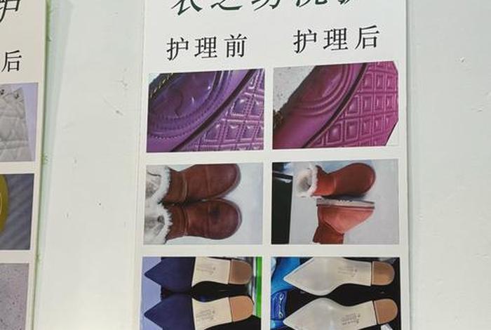 洗护生活馆是干什么（洗护是什么工作）