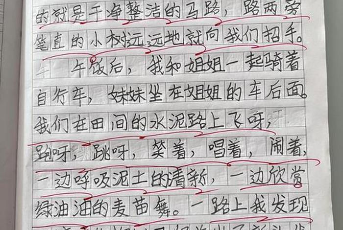 我的周末生活作文450字、我的周末生活作文450字五年级