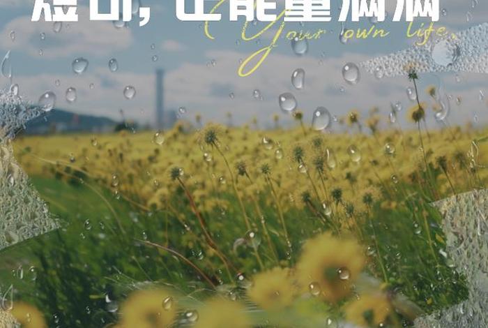 生活心态正能量句子，生活心态正能量句子简短