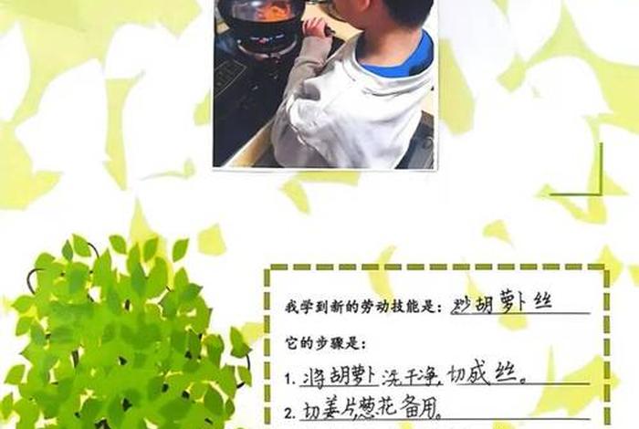 生活技能有哪些方面(生活技能有哪些方面青少年) 生活技能有哪些方面(生活技能有哪些方面青少年)