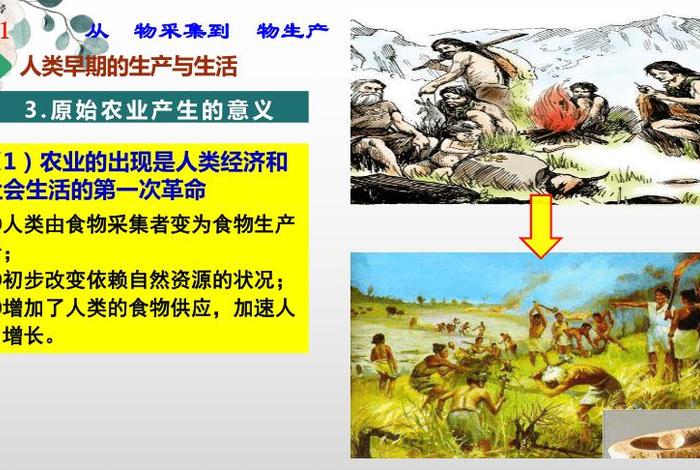 生活采集者；食物采集者的生活