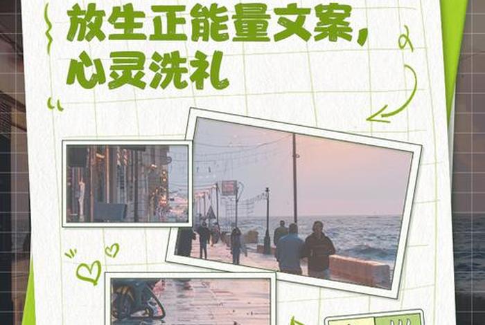 放生活动创意设计(放生活动文案) 放生活动创意设计(放生活动文案)