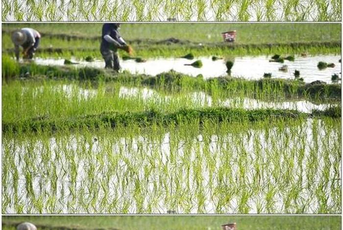 生活视频真实版、实拍生活视频素材 生活视频真实版、实拍生活视频素材