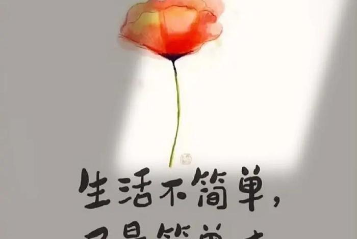 简洁的生活、简洁的生活对吗